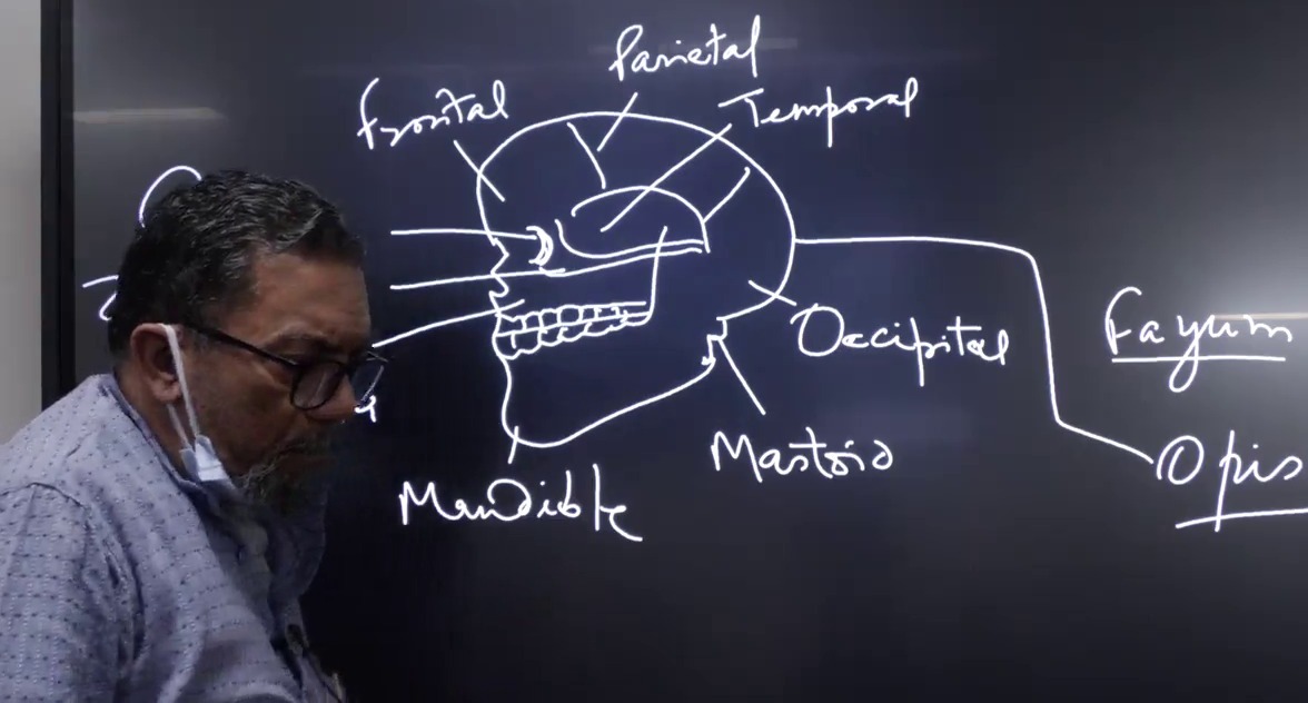 Importance of Diagrams in Anthropology Optional for UPSC Examination